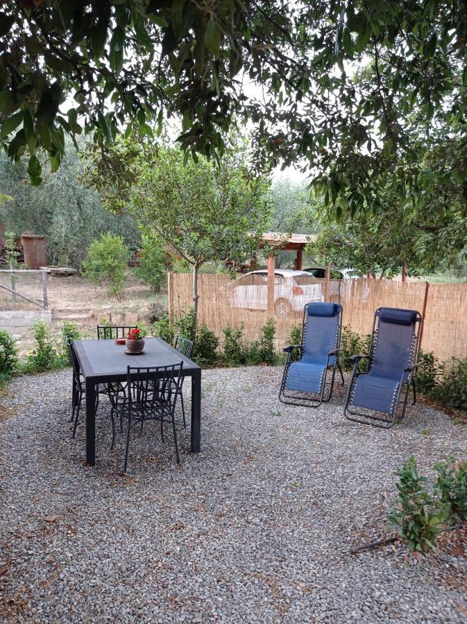 Agriturismo San Giorgino Grosseto Kamer foto