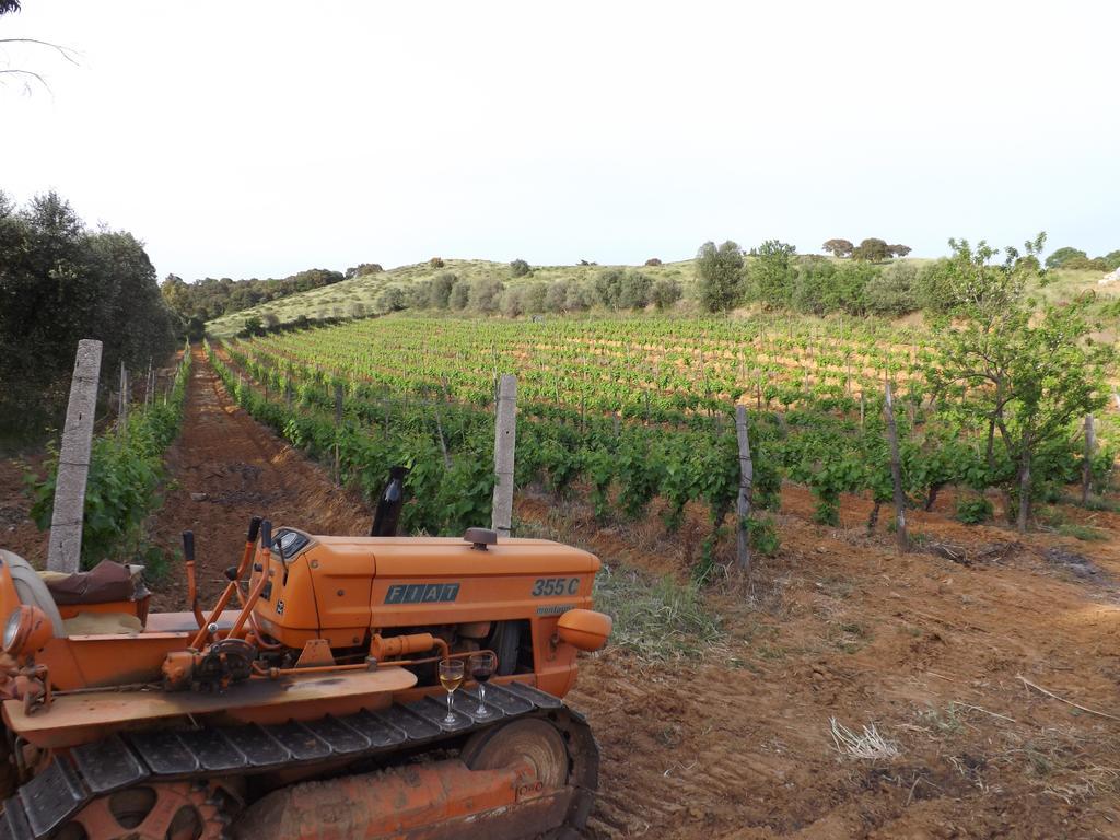 Agriturismo San Giorgino Grosseto Buitenkant foto