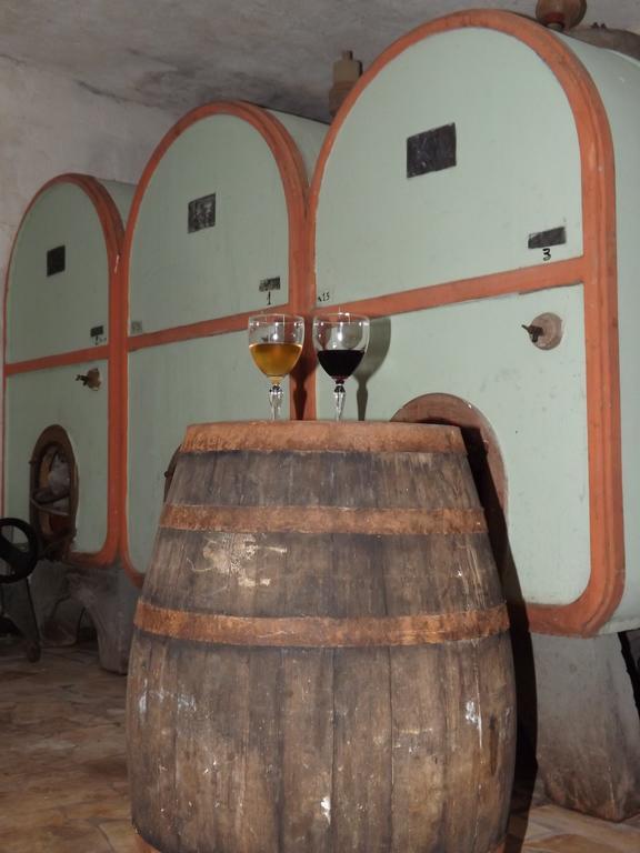 Agriturismo San Giorgino Grosseto Buitenkant foto